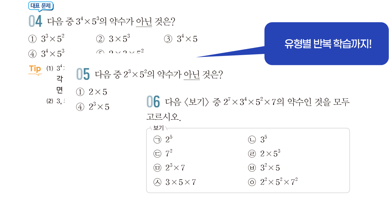 유형별 반복 학습까지!